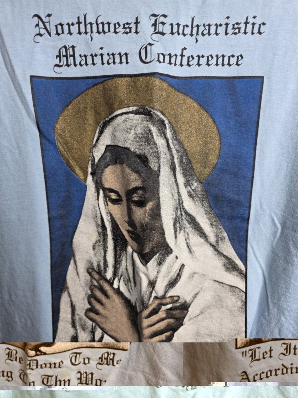 Blessed Virgin Mary Northwest Eucharistic Marian T-Shirt Catholic Tee Large Blue